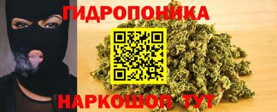 гидра Свободный